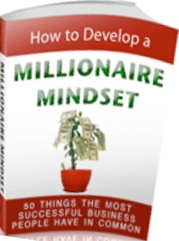 eBook about How to Develop a Millionaire Mindset - The Keys to a Quick and Painless Success....