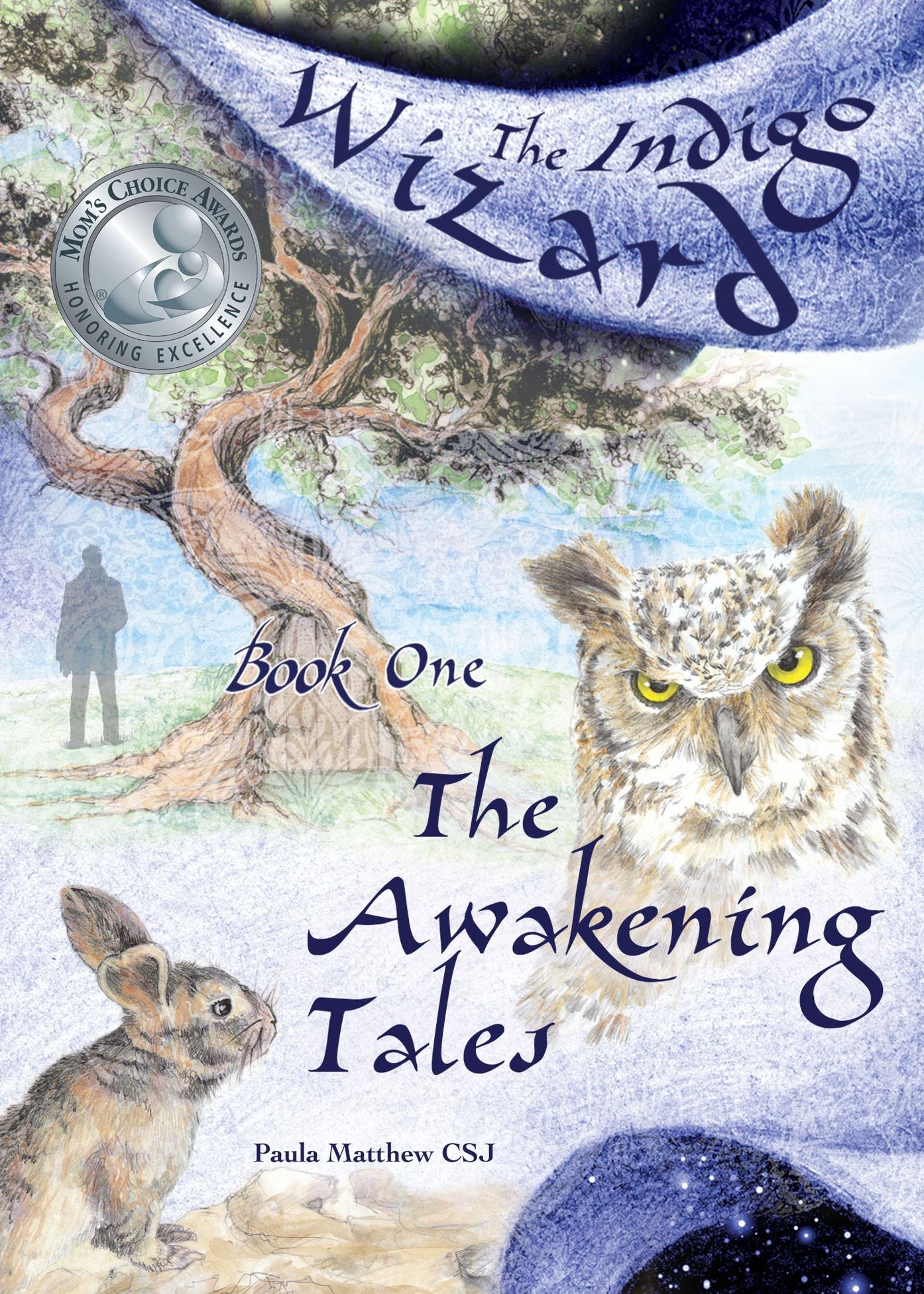 The Indigo Wizard: The Awakening Tales