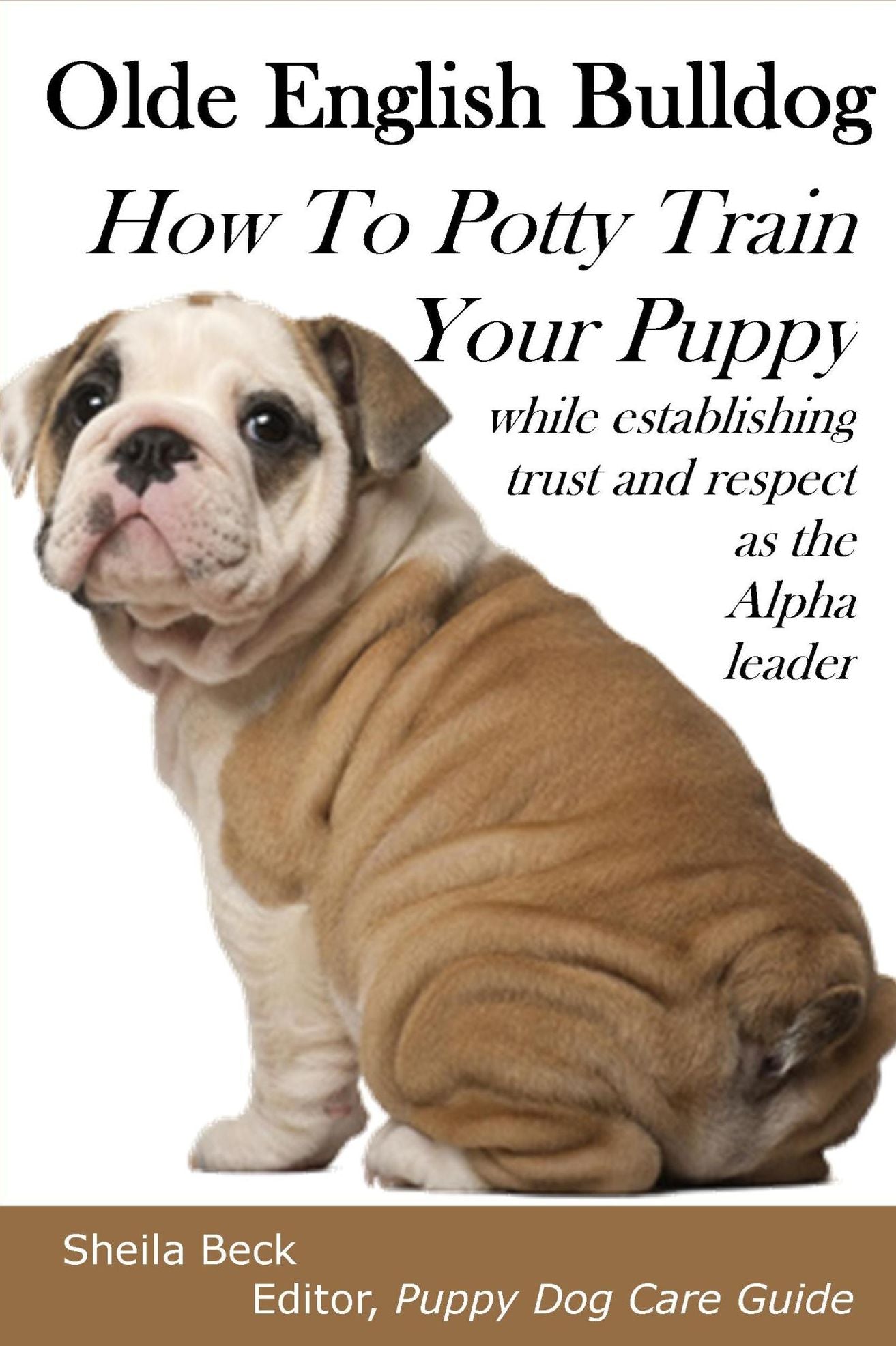 Olde English Bulldog How To Potty Train Your Puppy