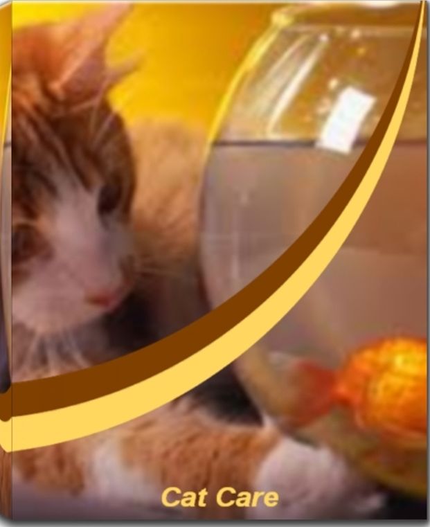 Cat Care: In This Practical Guide On Cat Care Untold Secrets About Pet Health Care, Cat Diabetes, Cat Illness Symptoms and More Will Be Revealed