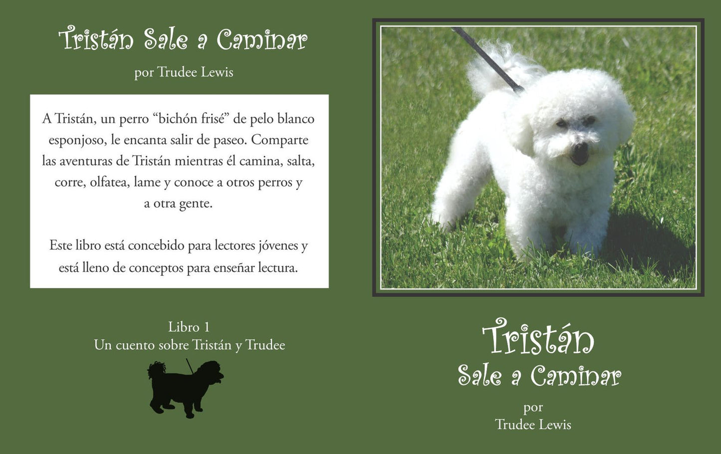 Trist&aacute;n Sale a Caminar