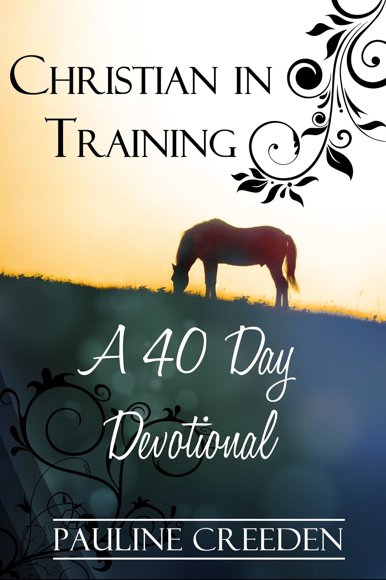 Christian In Training: A 40 day Devotional