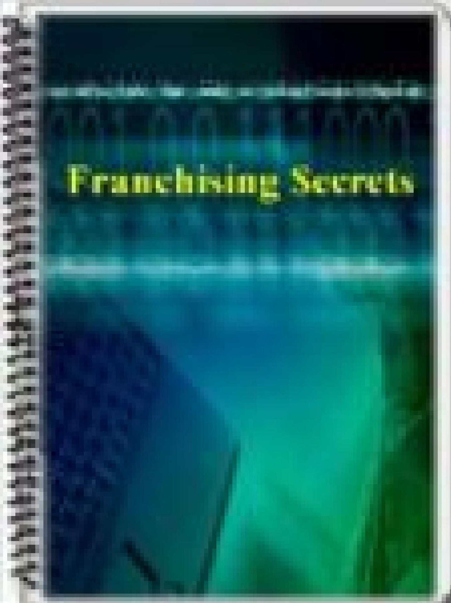Franchising Secrets
