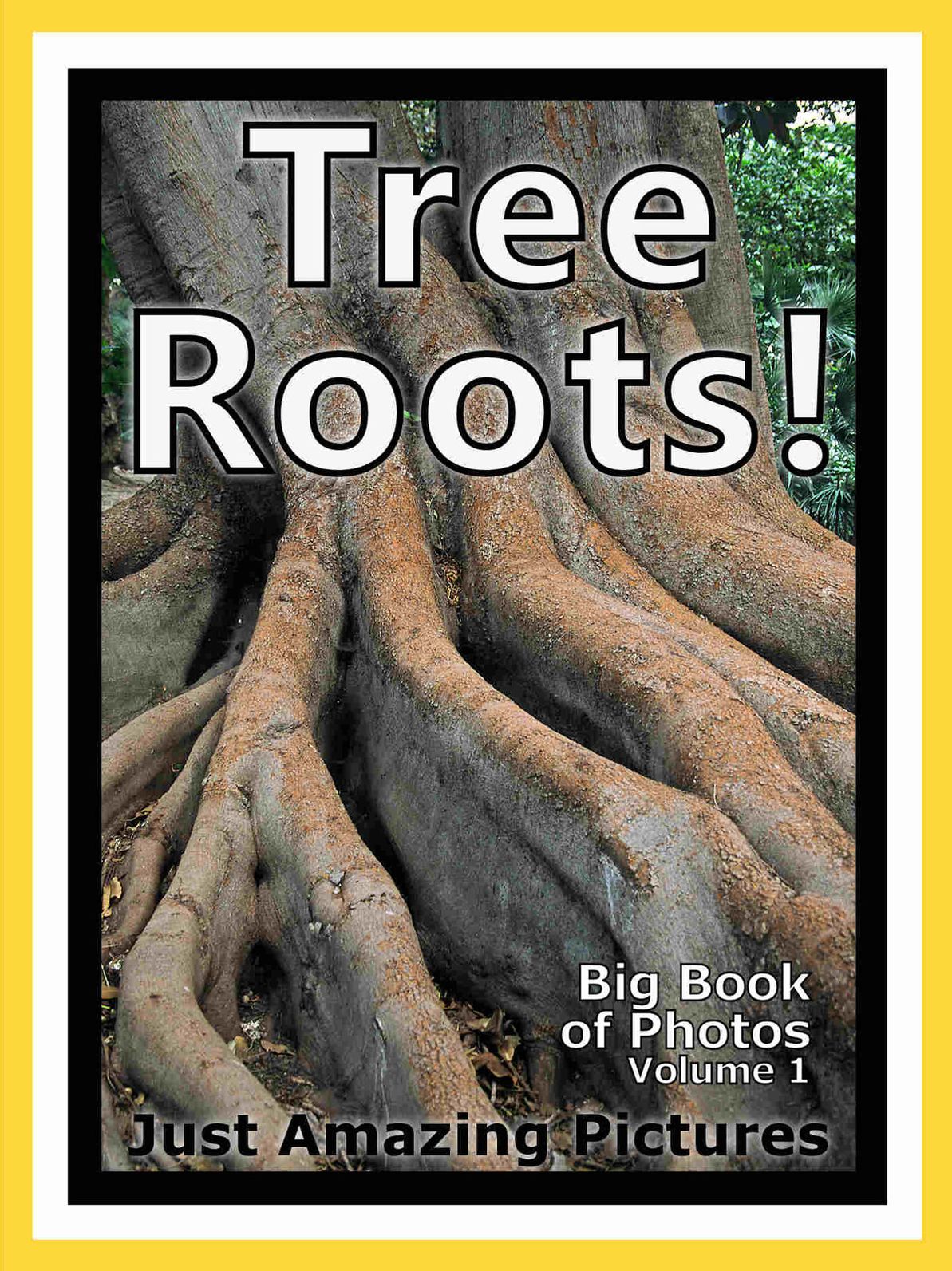 Just Wasp & Hornet Insect Photos! Big Book of Photographs & Pictures of Wasps & Hornets Insects, Vol. 1