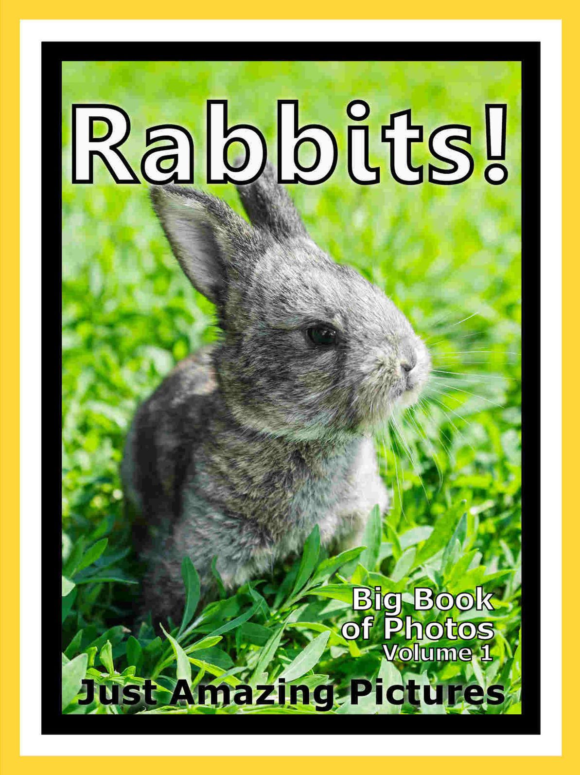 Just Bunny Rabbit Photos! Big Book of Photographs & Pictures of Bunnies & Rabbits, Vol. 1
