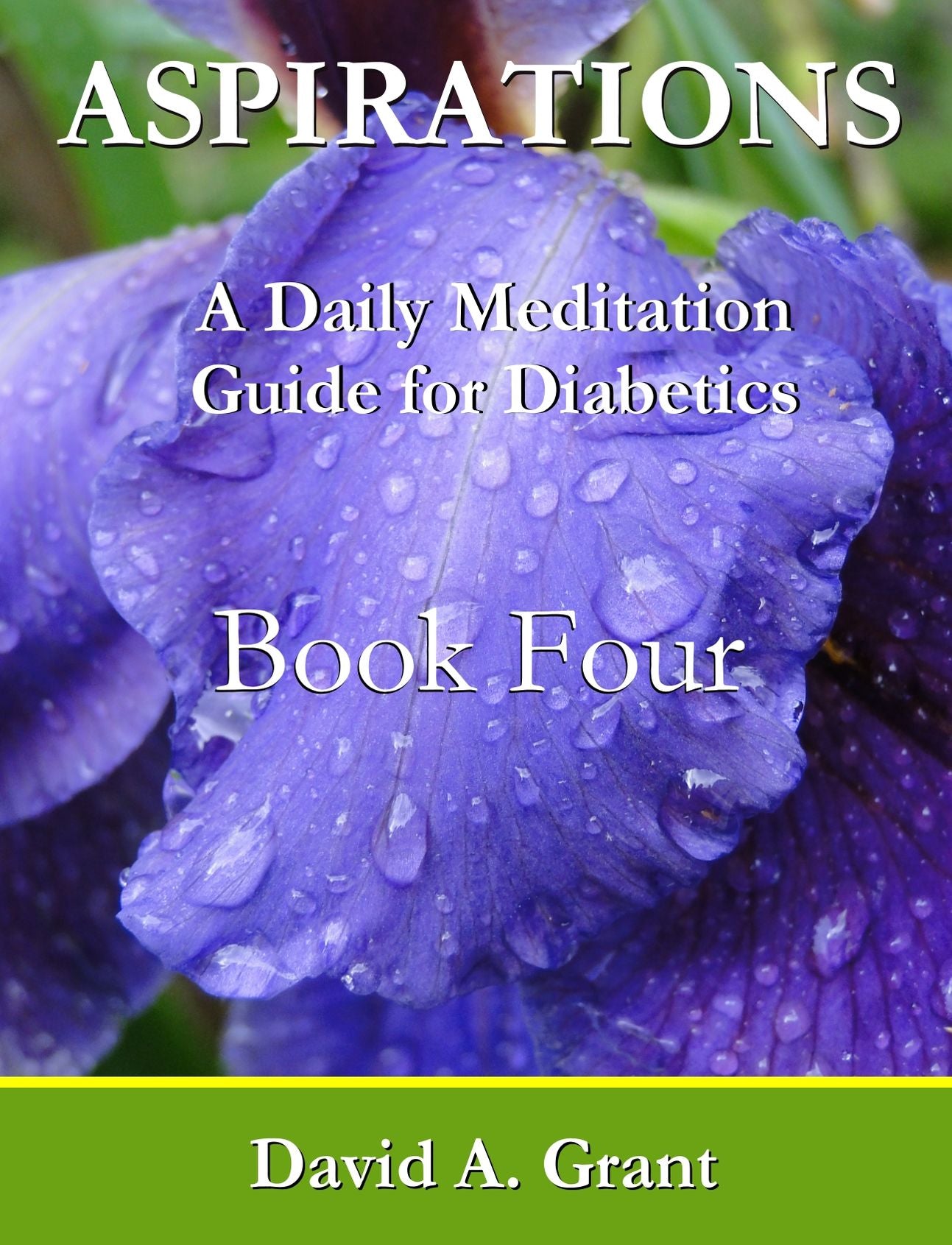 Aspirations, A Daily Meditation Guide for Diabetics - Book Four