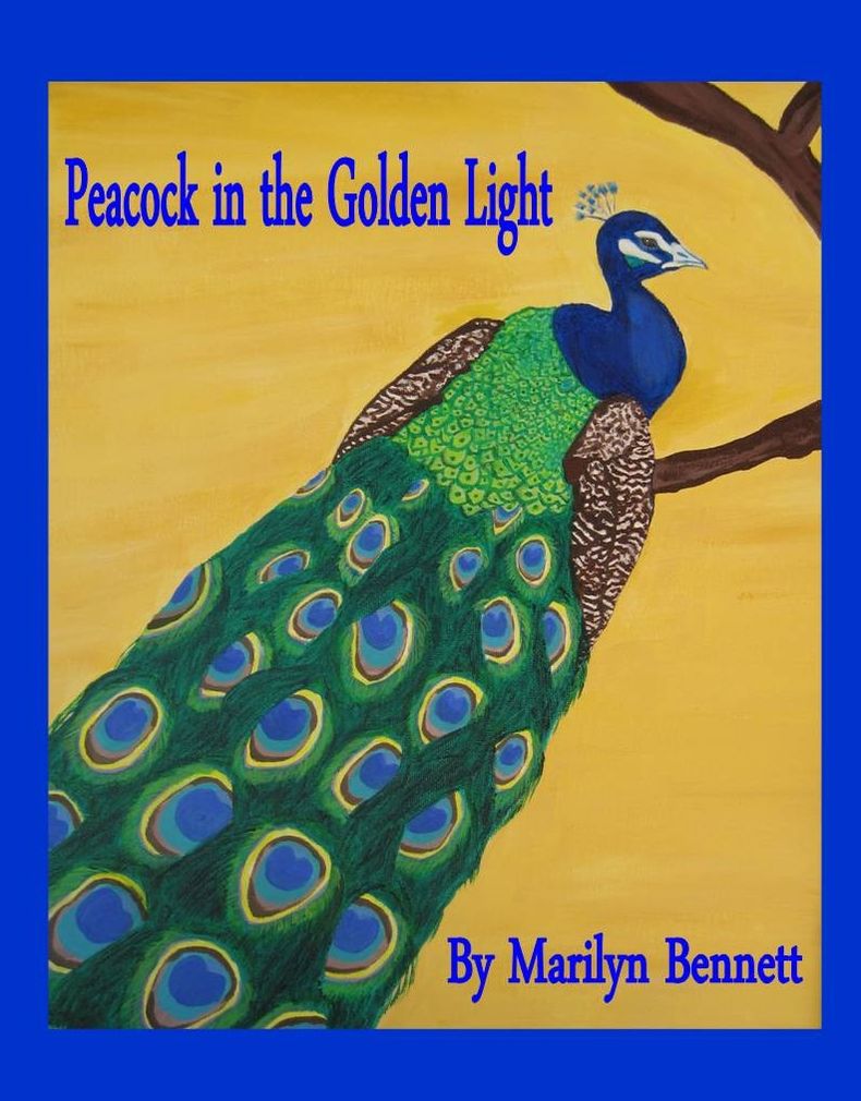 Peacock in the Golden Light