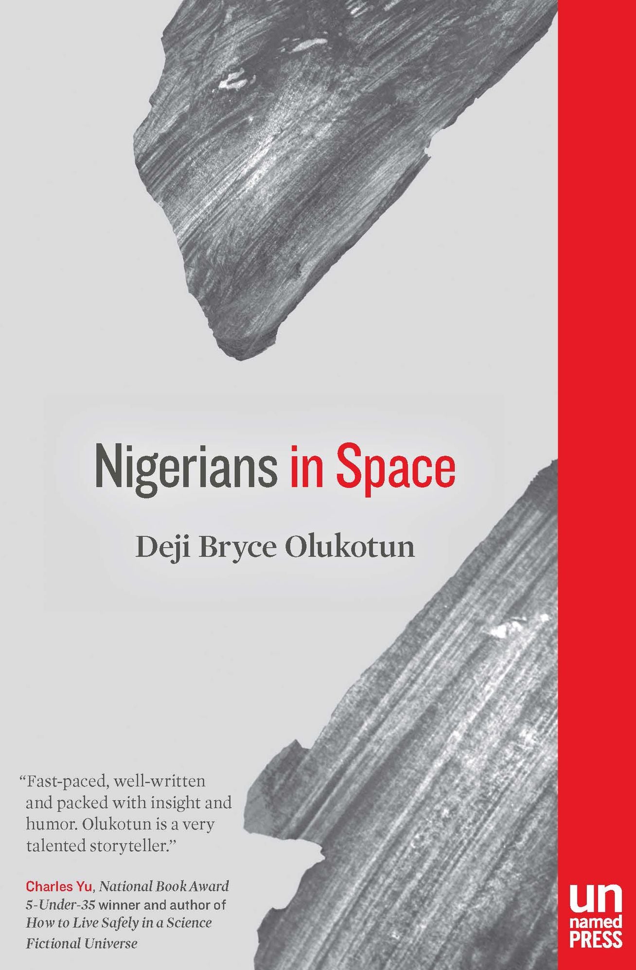 Nigerians In Space