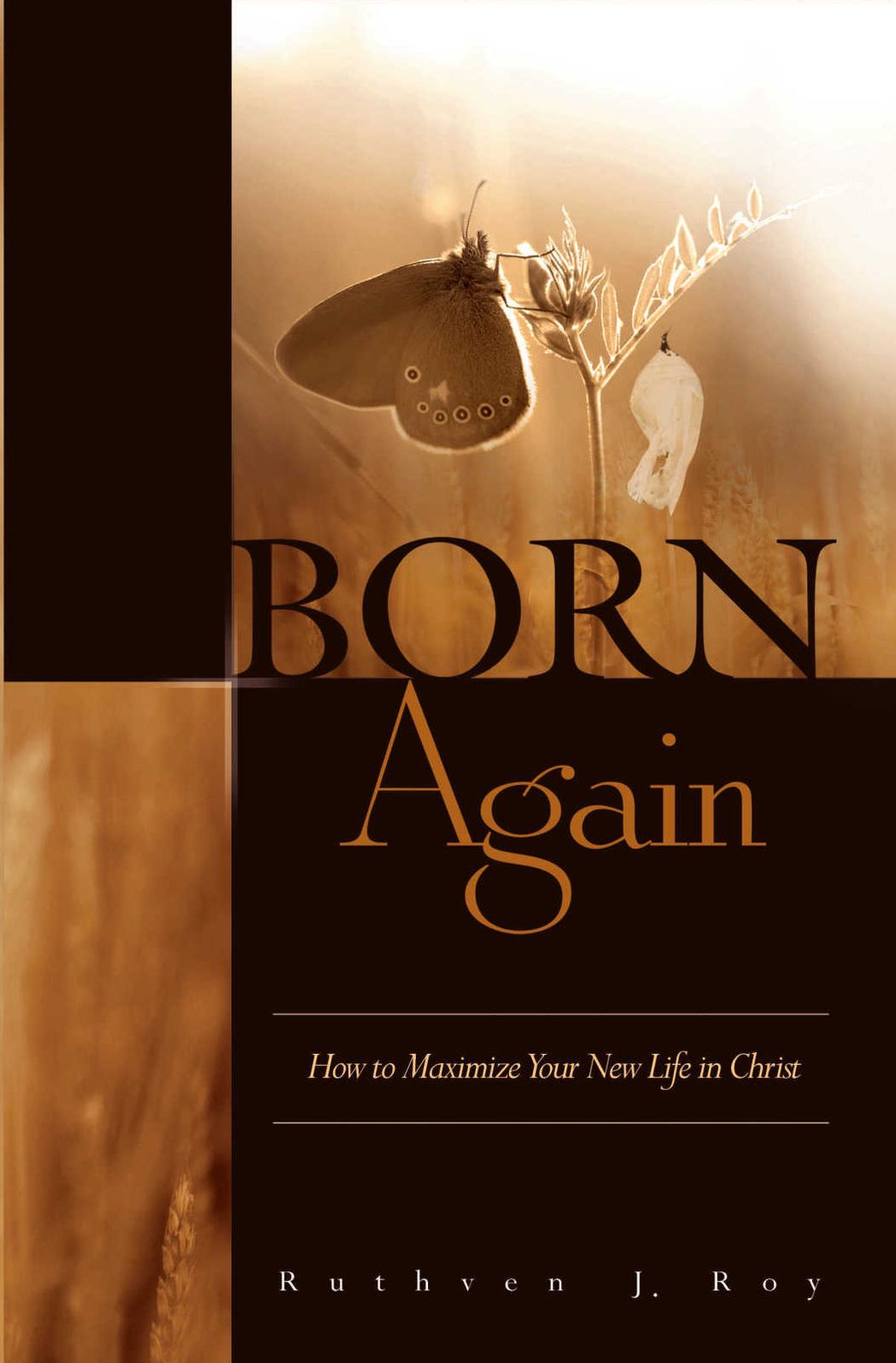 Born Again: How to Maximize Your New Life In Christ