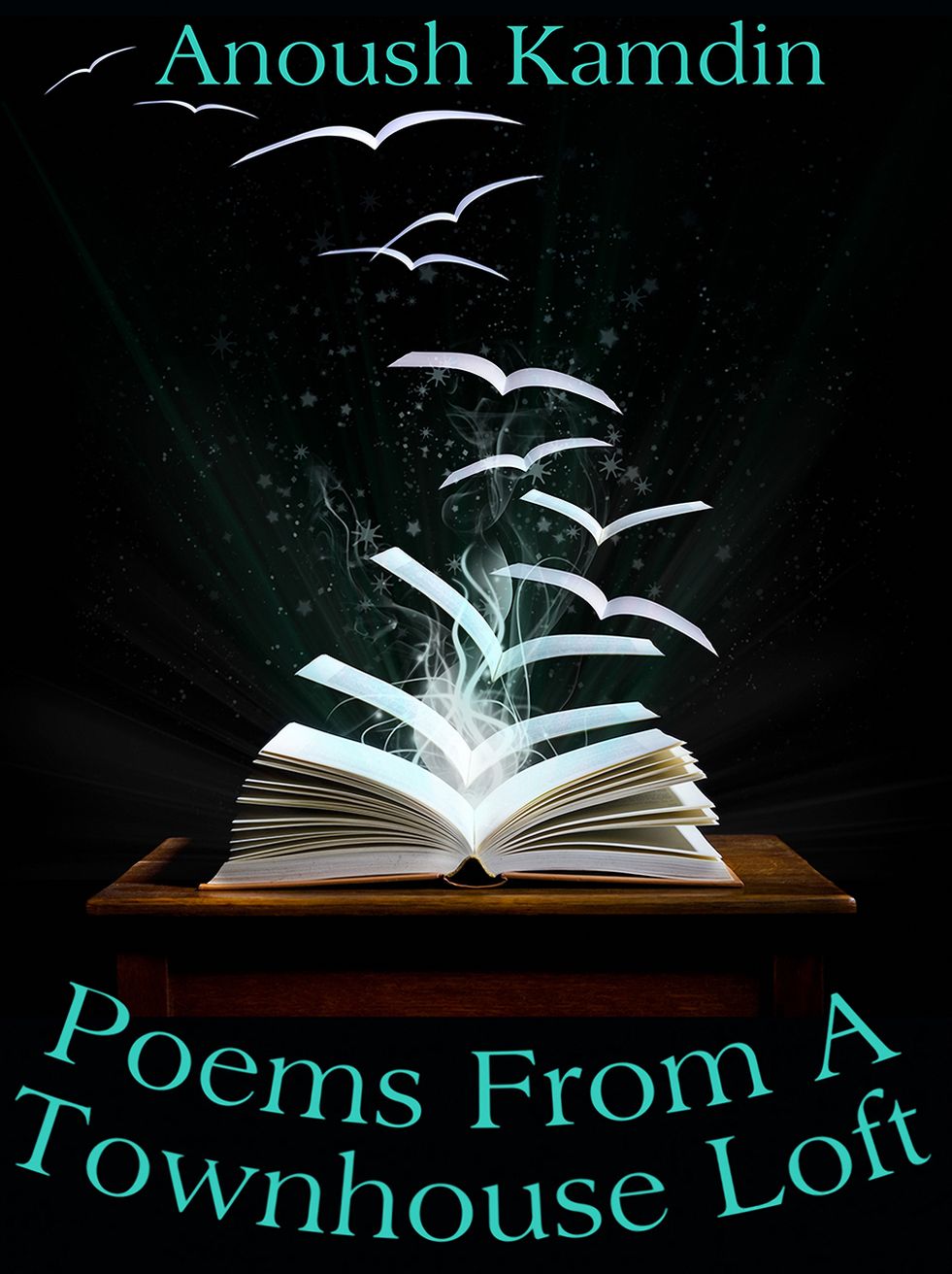 Poems From A Townhouse Loft