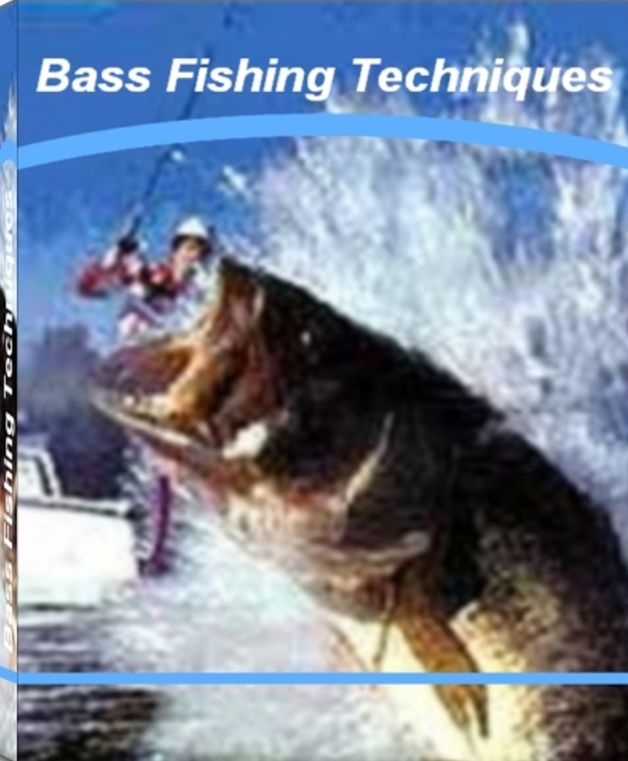 Bass Fishing Techniques: An Irresistible Look Into The World of Puerto Vallarta Fishing, Bass Fishing Lures, Bass Fishing Fundamentals, Bass Fishing Tournaments