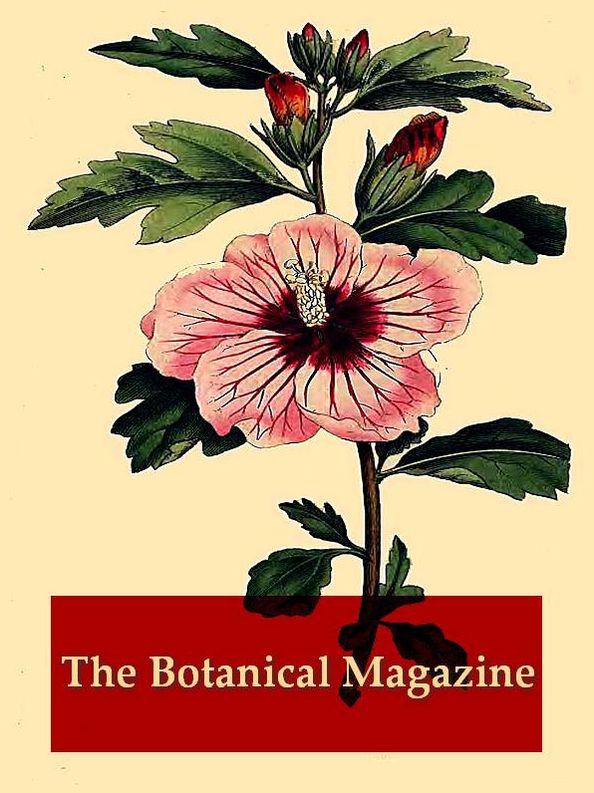 The Botanical Magazine, Volumes III-IV