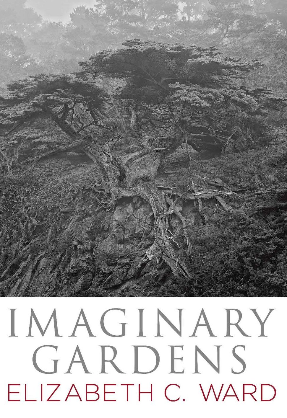 Imaginary Gardens