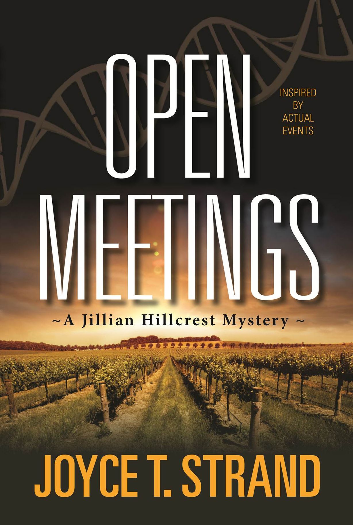 OPEN MEETINGS: A JILLIAN HILLCREST MYSTERY