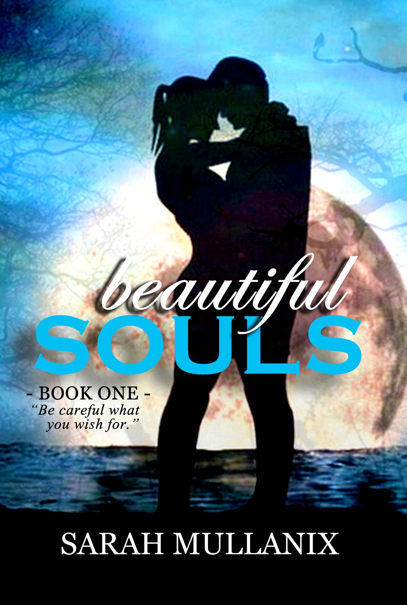 Beautiful Souls (Beautiful Souls #1)