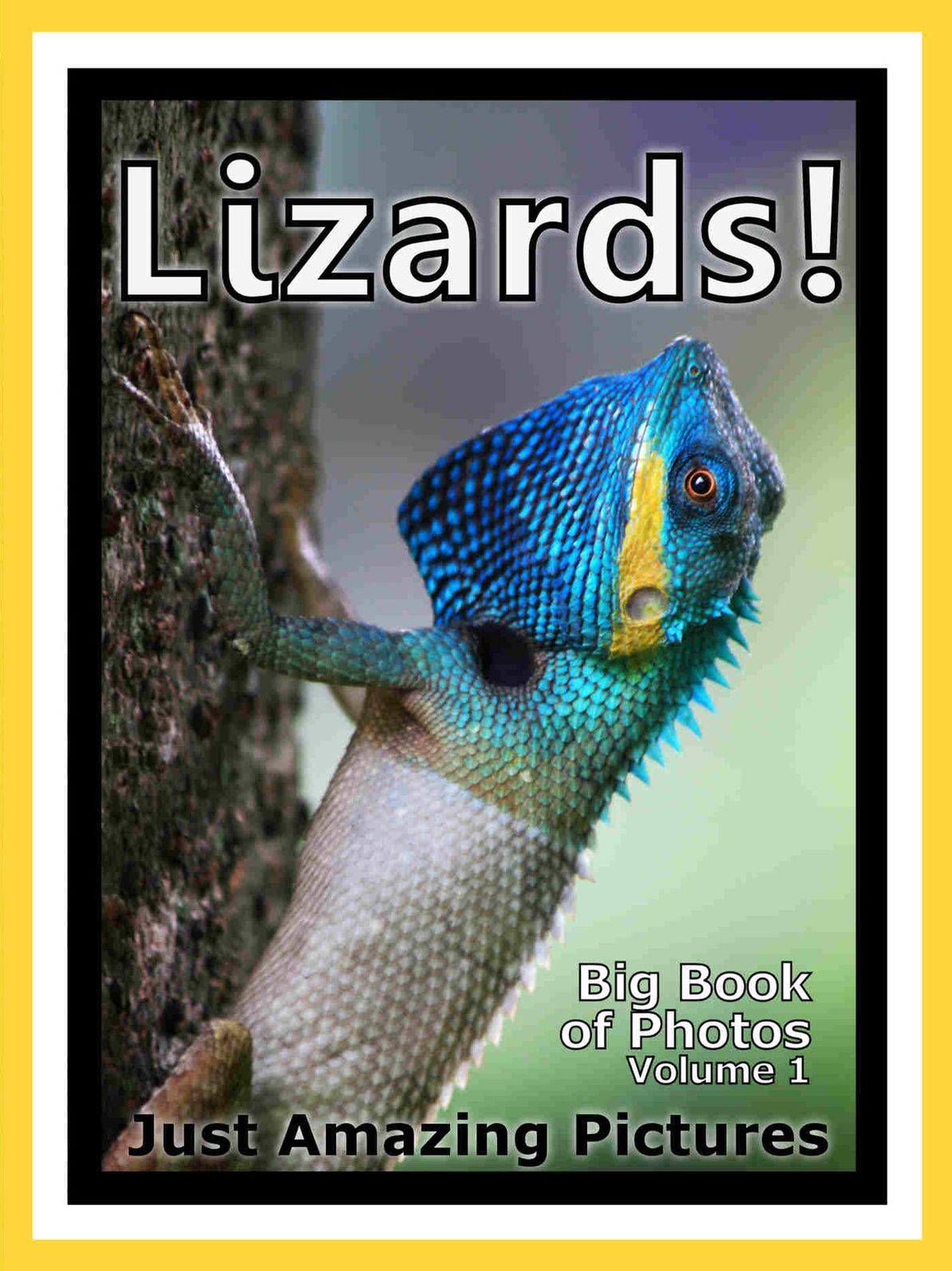 Just Lizard Reptile Photos! Big Book of Photographs & Pictures of Lizards Reptiles, Vol. 1