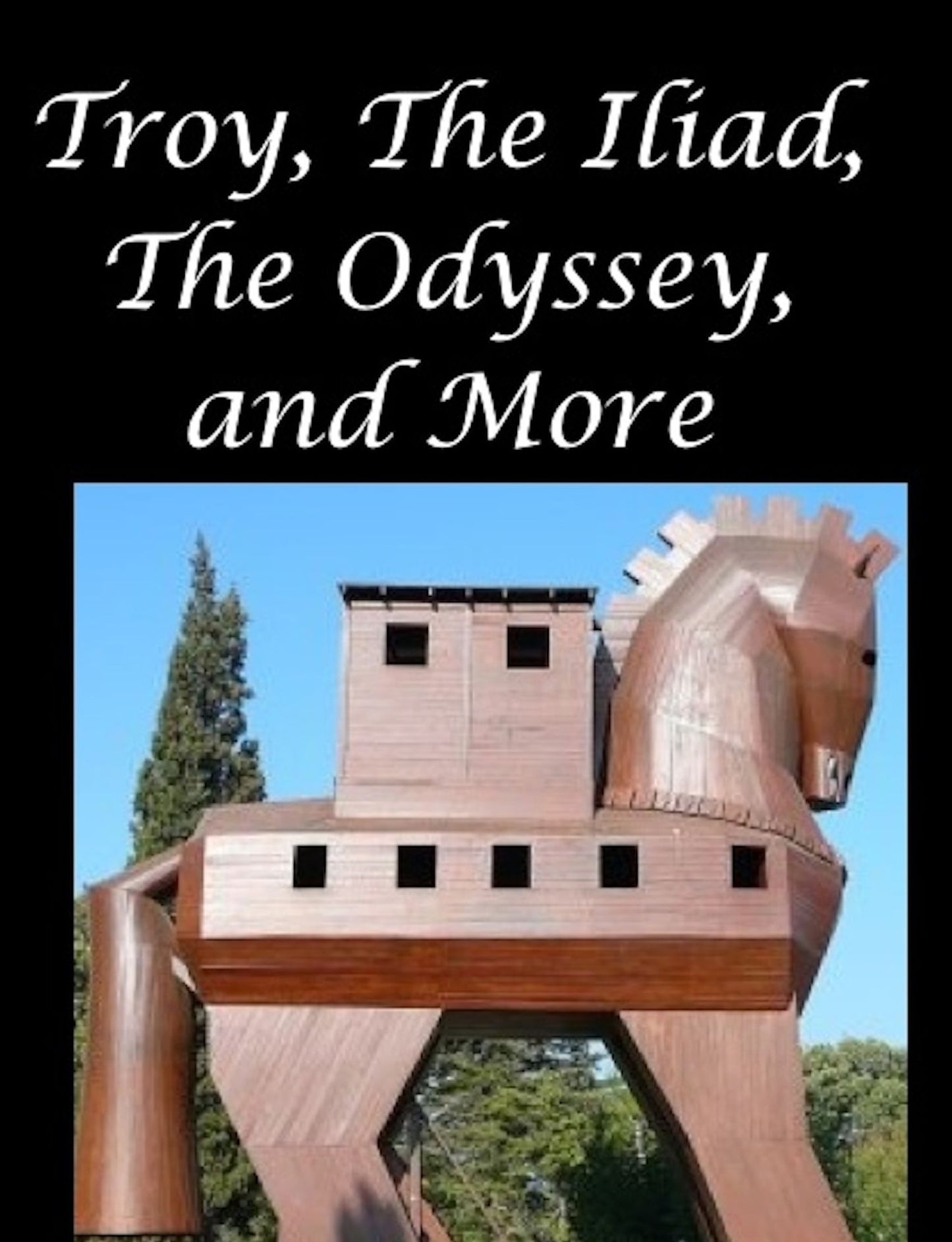 Troy, The Iliad, the Odyssey, and More