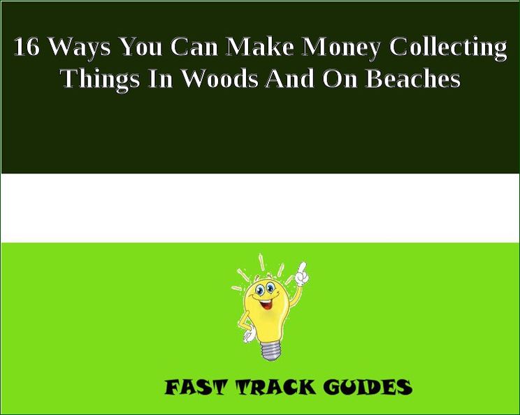 16 Ways You Can Make Money Collecting Things In Woods And On Beaches