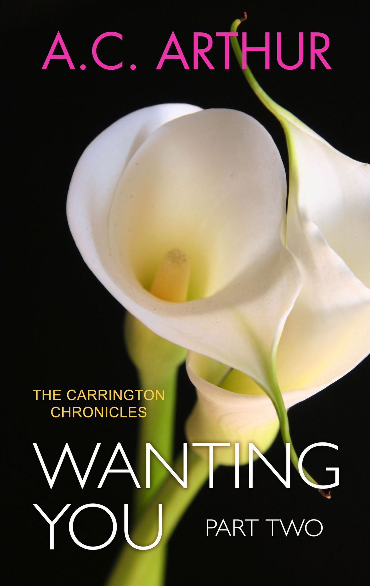 Wanting You (Part Two)