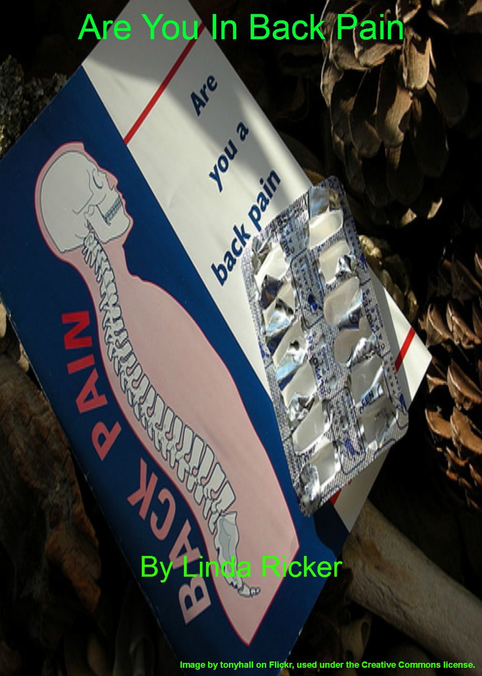 AreYou In Back Pain