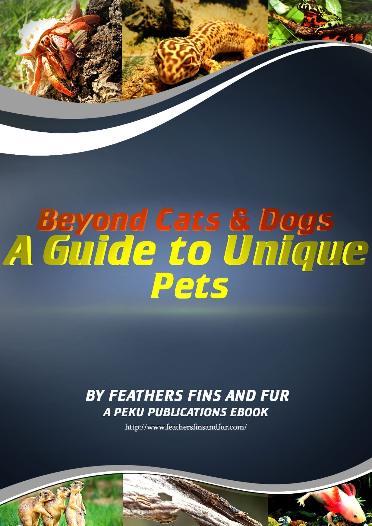 Beyond Cats & Dogs: A Guide to Unique Pets