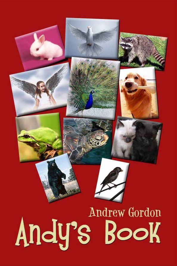 Andy's Book