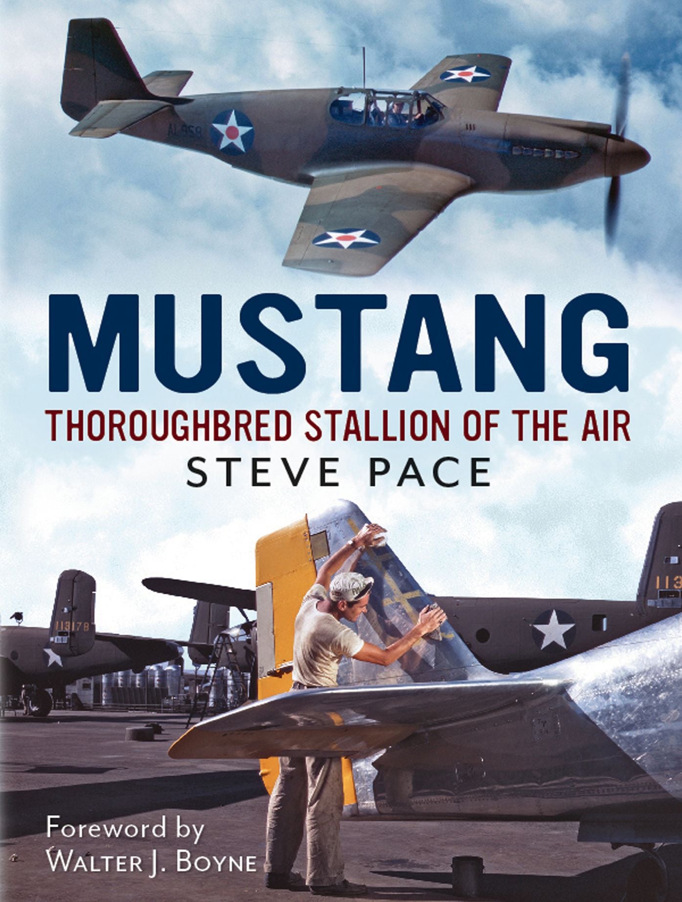 Mustang: Thoroughbred Stallion of the Air