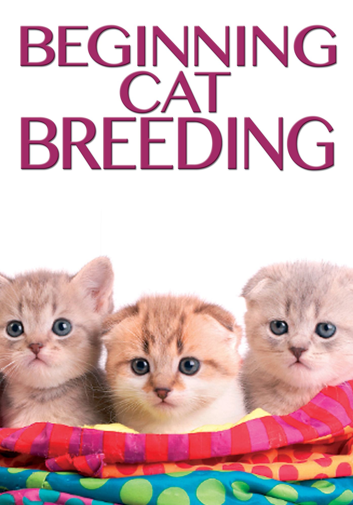 Beginning Cat Breeding