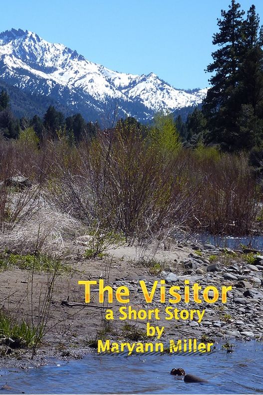 The Visitor