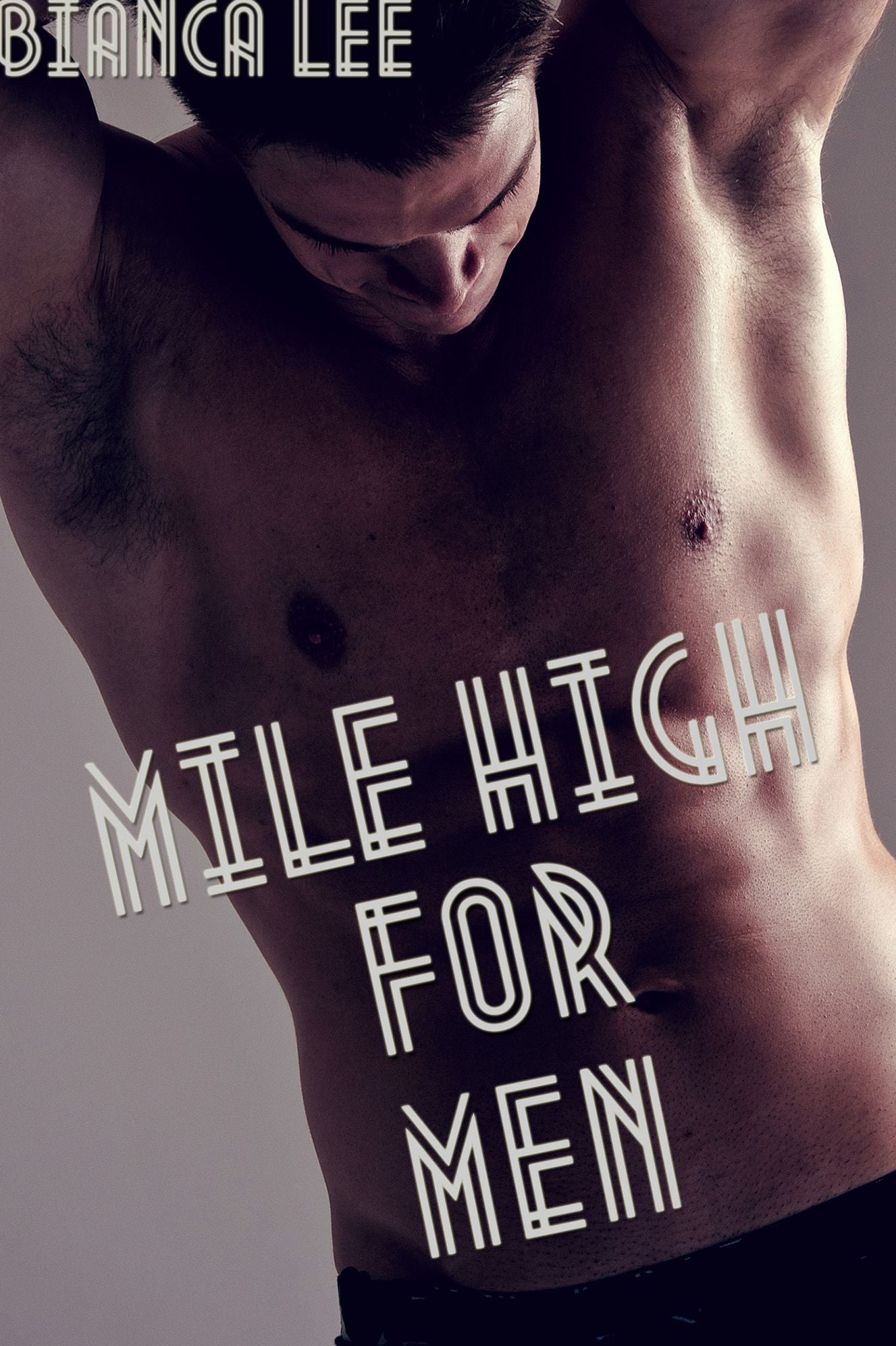 Mile High for Men (gay public sex erotica)