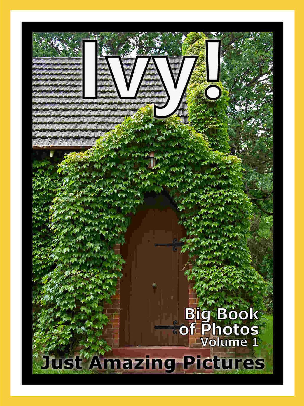 Just Ivy Plant Photos! Big Book of Photographs & Pictures of Ivy Plants, Vol. 1