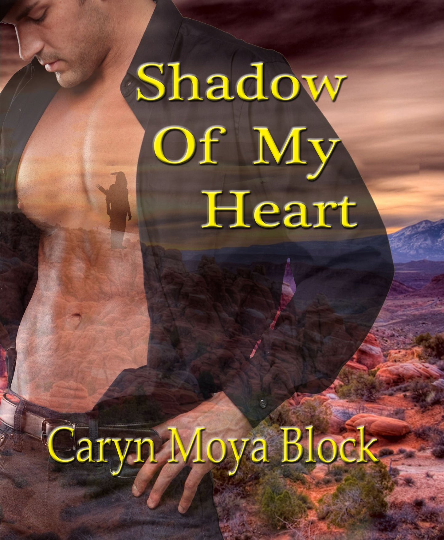 Shadow Of My Heart