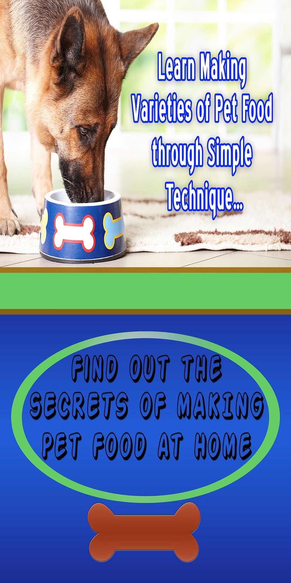 Make Pet Food At Home