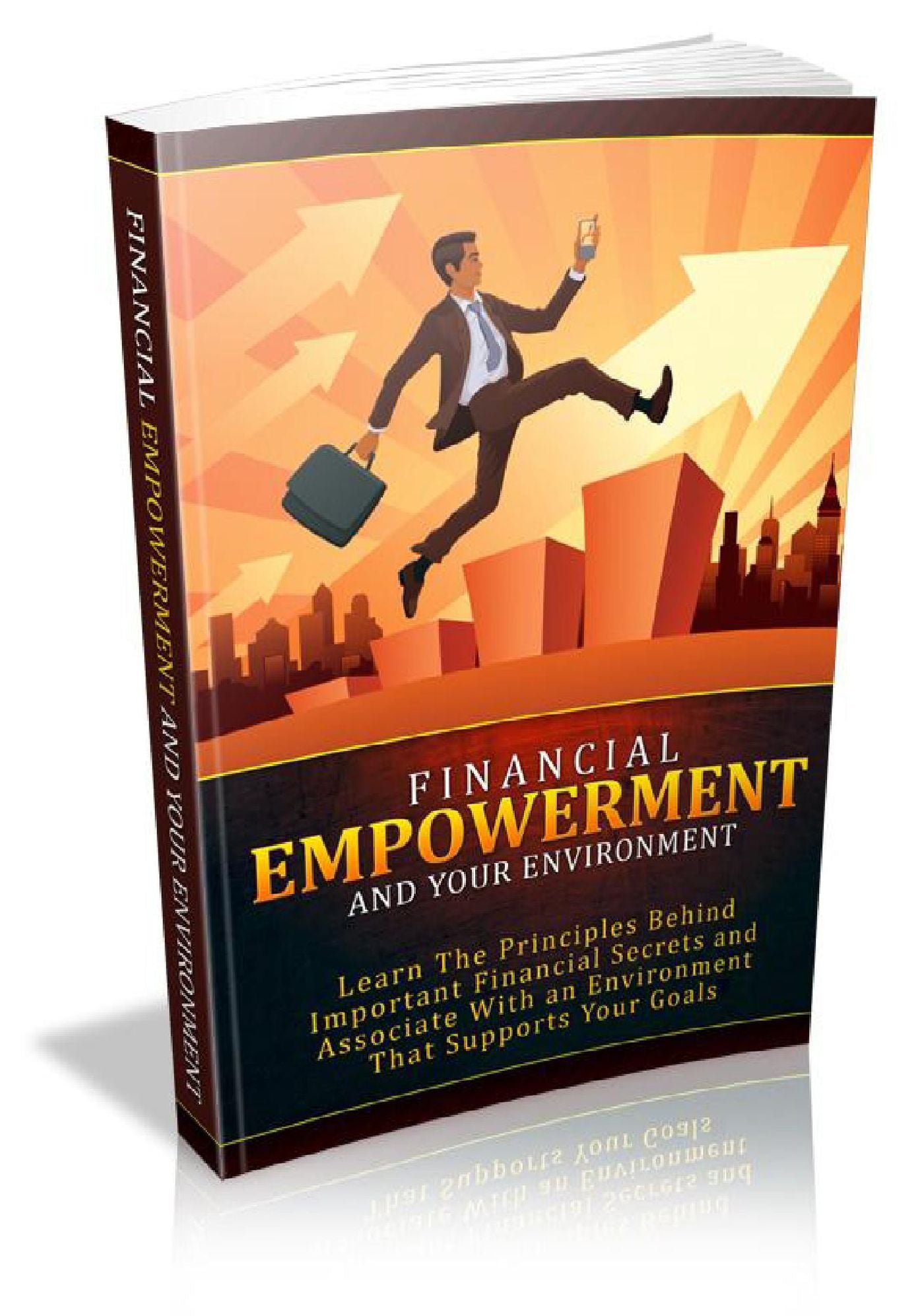 Financial Empowerment And Environment