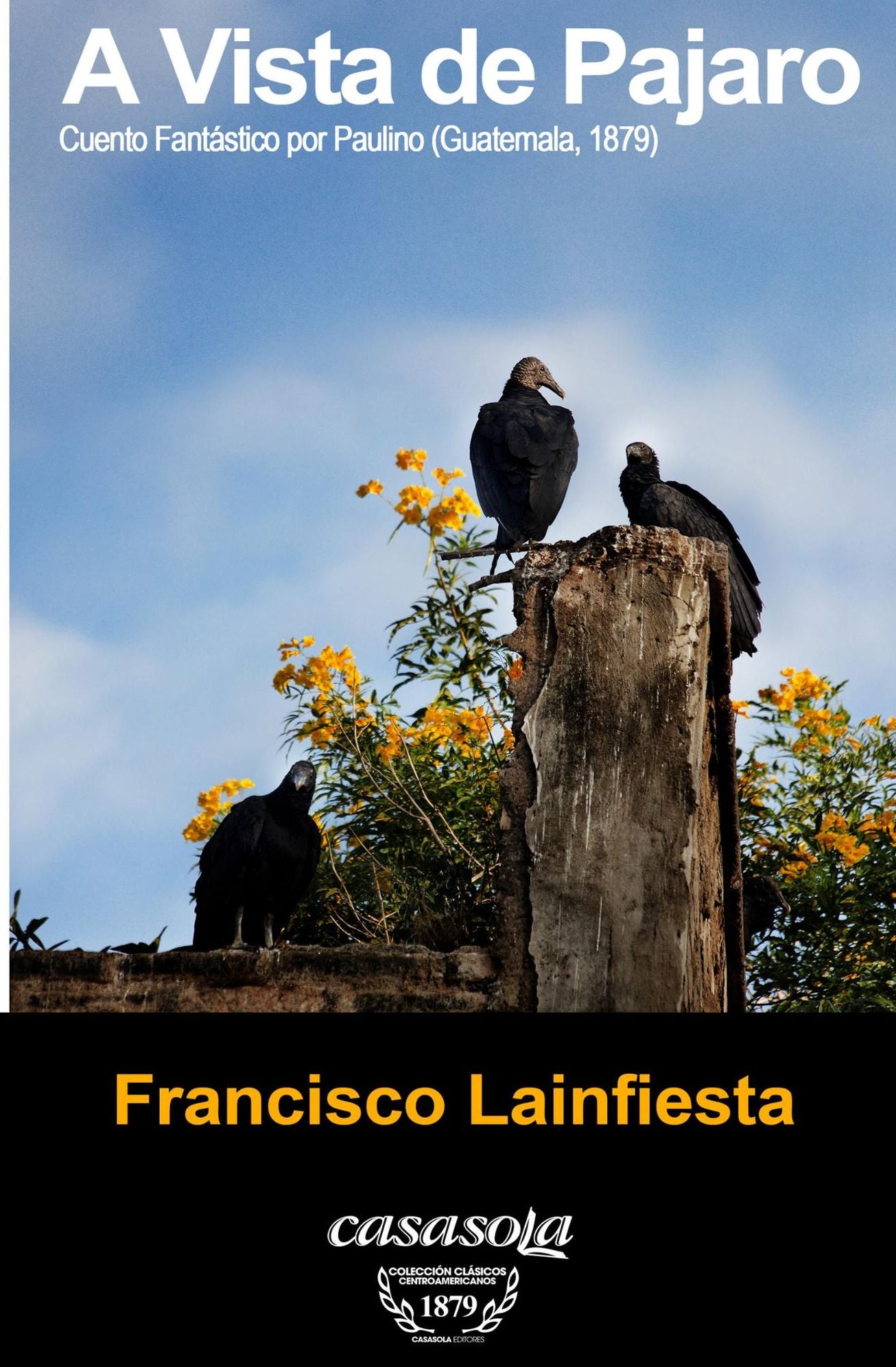 A vista de p&aacute;jaro, cuento fant&aacute;stico por Paulino.