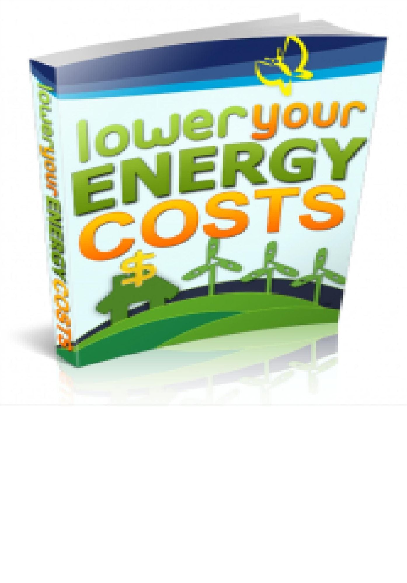 Lower Energy Costs