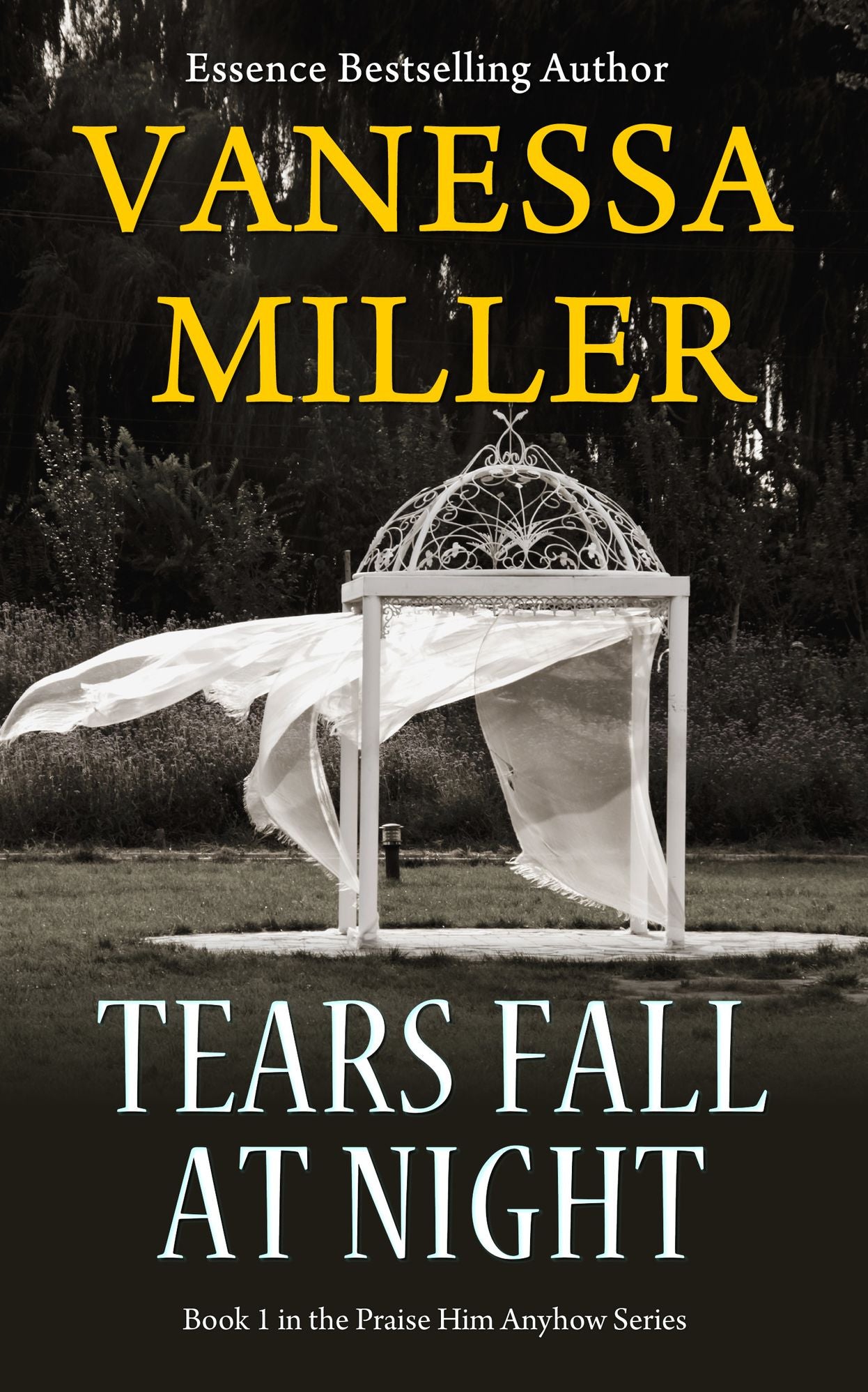Tears Fall at Night - Praise Him Anyhow Series