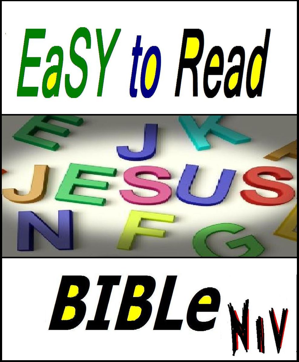 NIV Bible