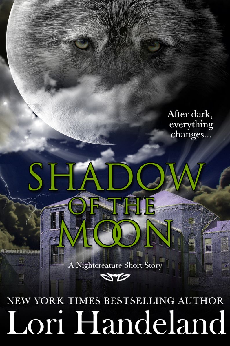 Shadow of the Moon (A Nightcreature Short Story)