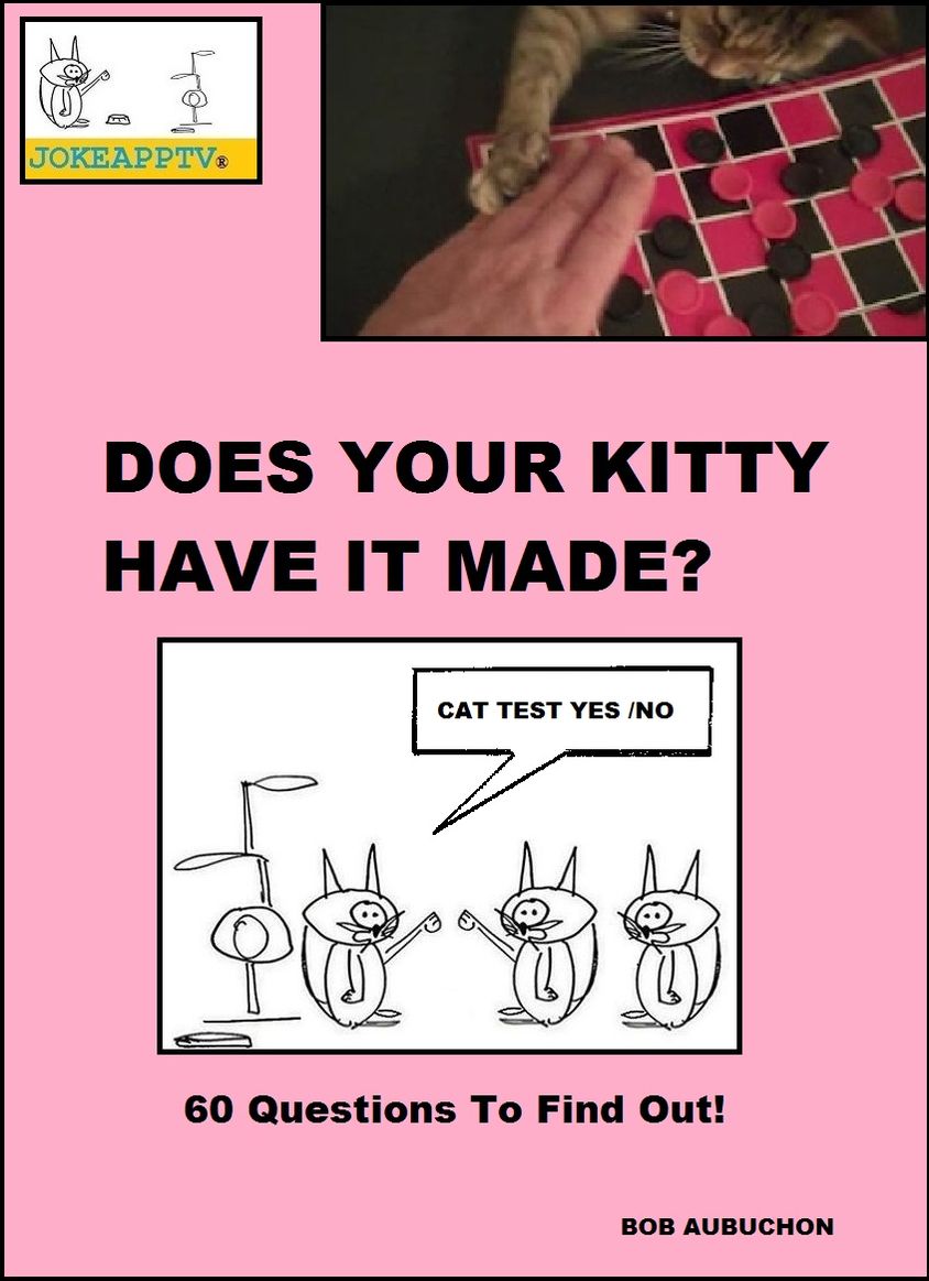 Does Your Kitty Have it Made?
