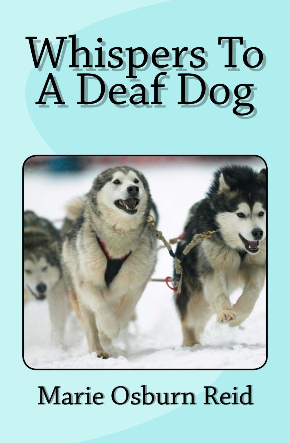 Whispers To A Deaf Dog