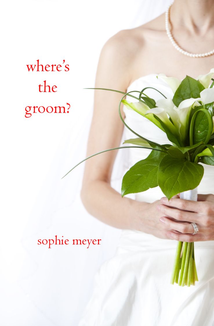 Where's the Groom? (a romantic comedy)