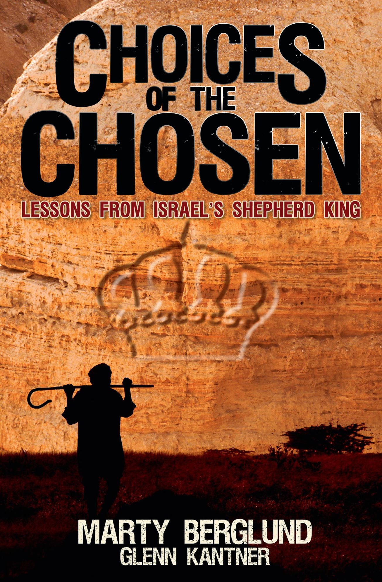 Choices of the Chosen: Lessons from Israel's Shepherd King