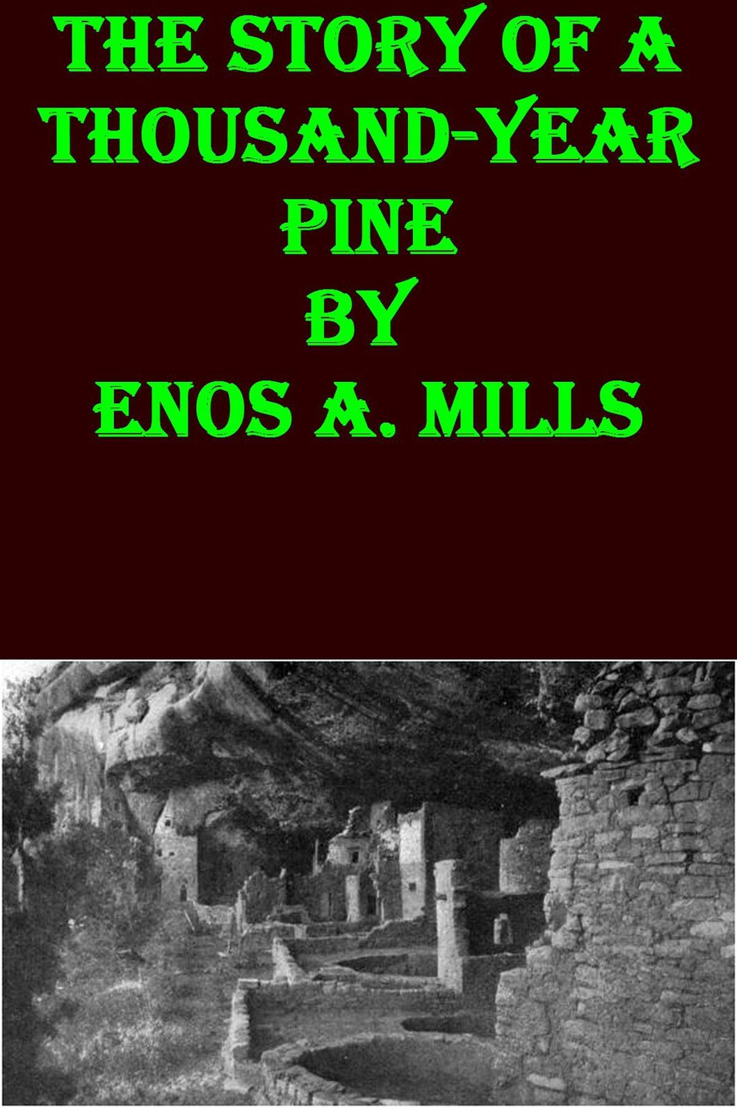 The Story of a Thousand-Year Pine