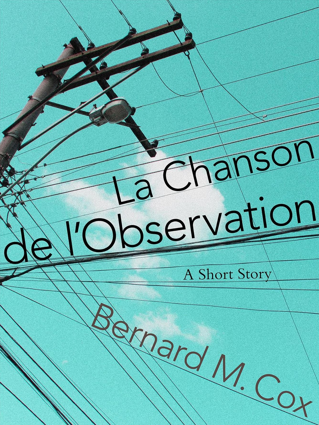 La Chanson de l'Observation
