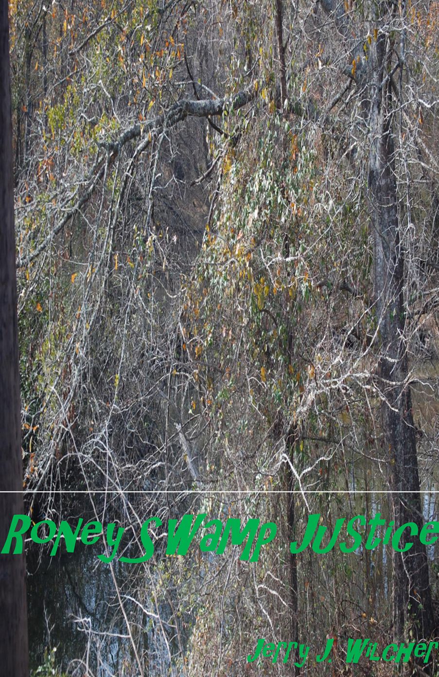 Roney Swamp Justice