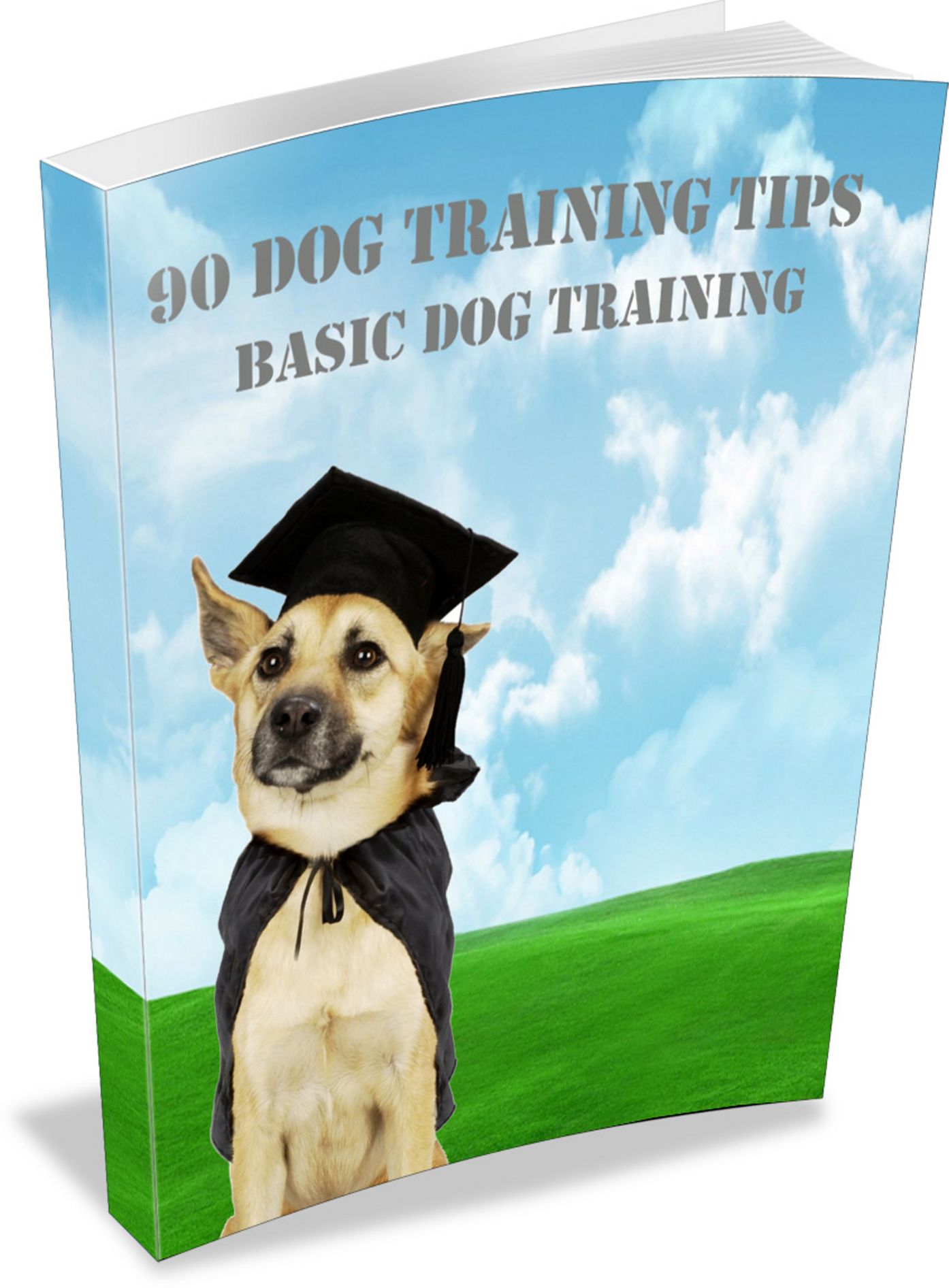 90 Dog Training TIPS: Learn Basic Dog Training Techniques & Tricks Fast! AAA+++