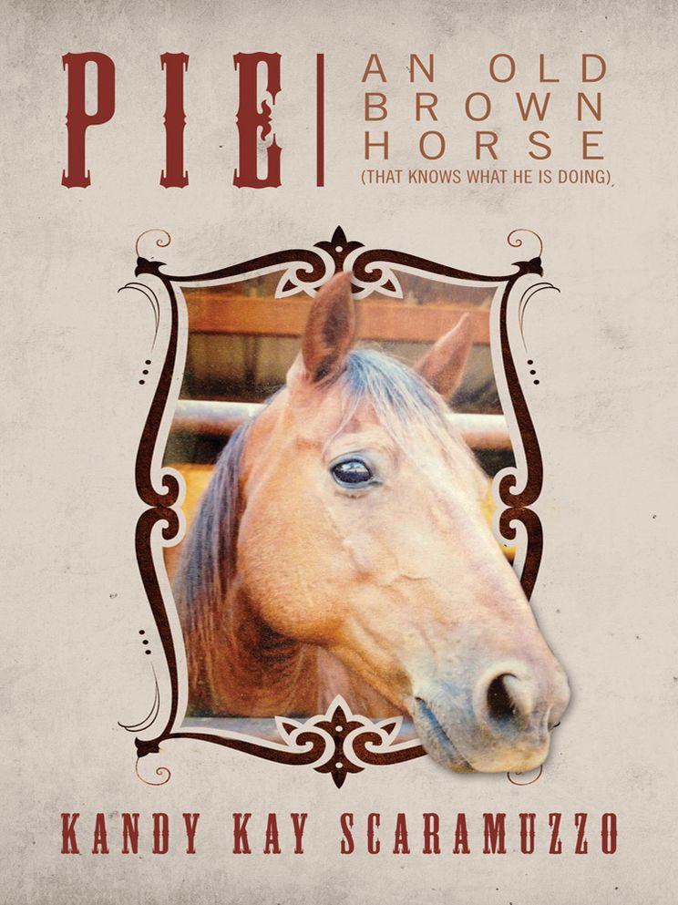 Pie: An Old Brown Horse That Knows What He Is Doing