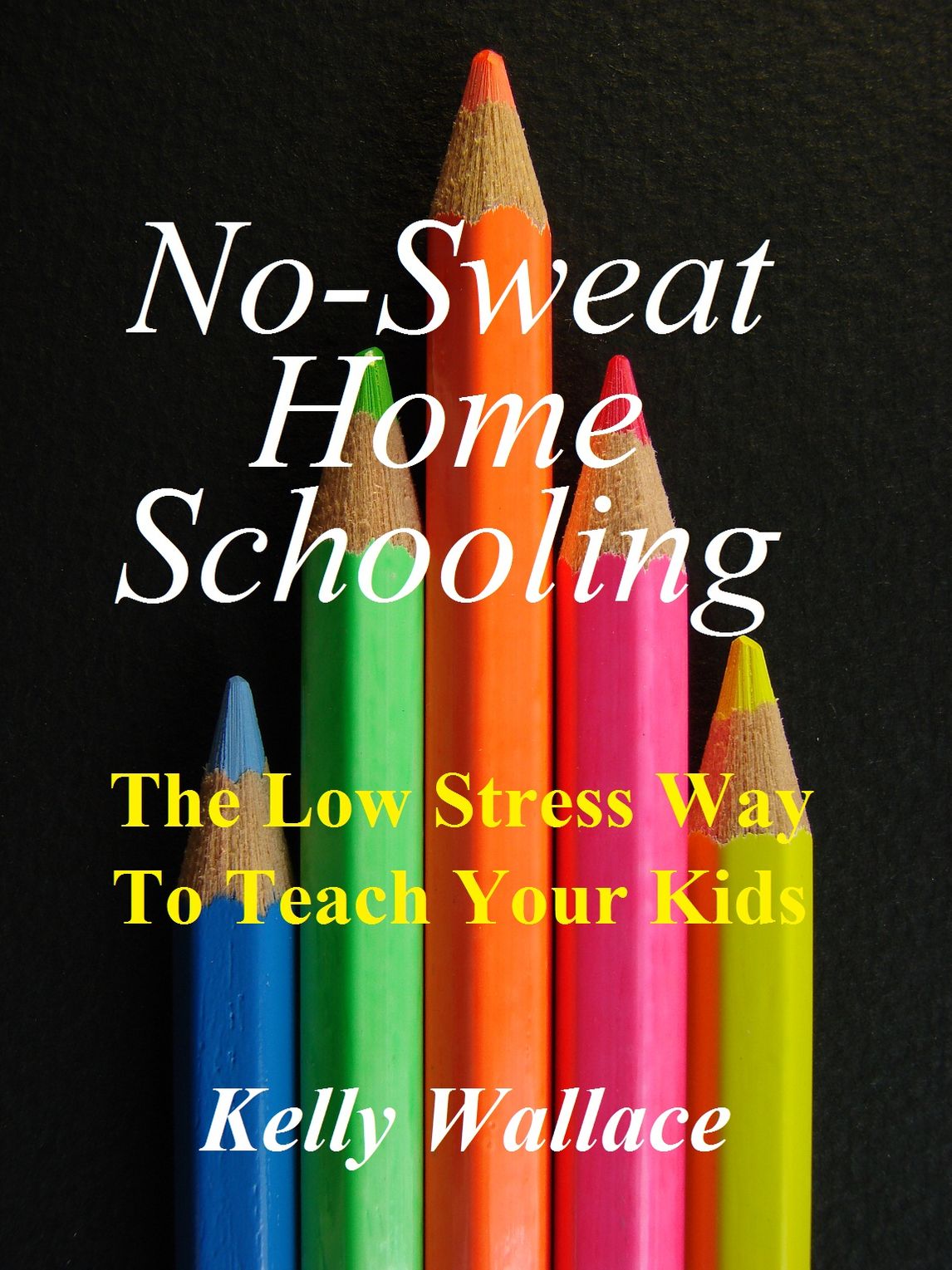 No Sweat Home Schooling - The Low Stress Way To Teach Your Kids