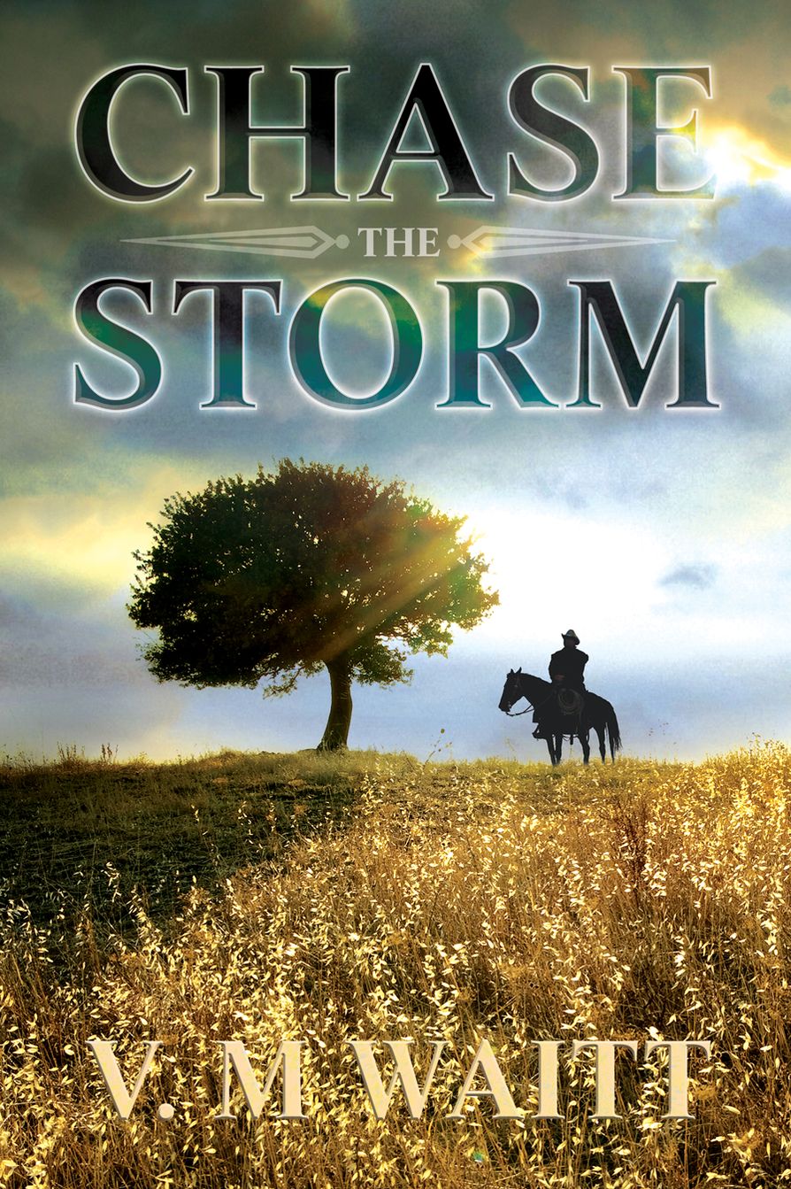 Chase the Storm